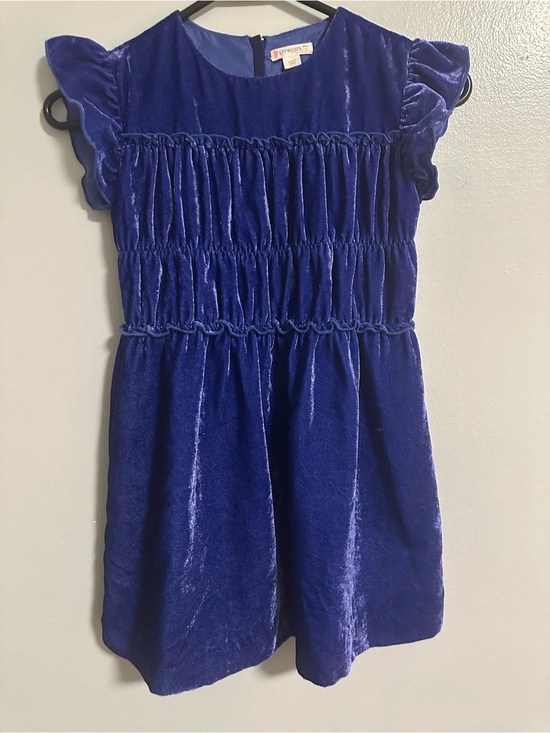 Crewcuts Other - Crewcuts Plush Velvet Dress in Deep Blue Size 7